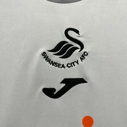 Swansea 2023/24 Schulleiter