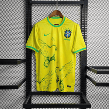 Brasilien 22/23