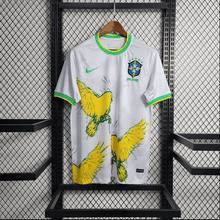Brasilien 22/23