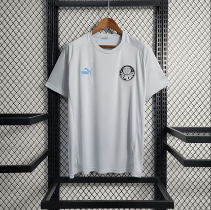 Palmeiras Silbertraining 2023