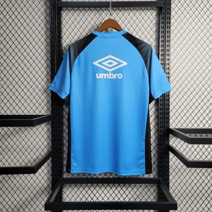 Grêmio 2023/24 Training